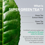 60pcs/60ml❤️[INNISFREE] Green Tea Ceramide Milk Essence 1ml (Sample Sachet)