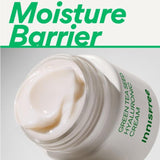 [INNISFREE] Green Tea Seed Hyaluronic Cream 50ml | Just US$16.95! Shop now at StyleFollow