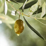 [INNISFREE] Olive Vitamin E Real Cleansing Foam 150g | Just US$7.99! Shop now at StyleFollow