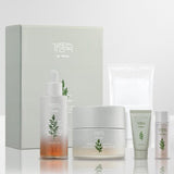 [MISSHA] Artemisia Set (Include 4 items) | Just US$36.09! Shop now at StyleFollow